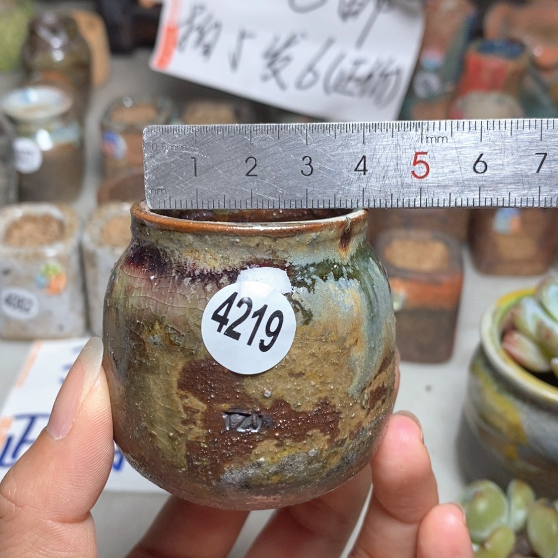 拍5送一个小礼物