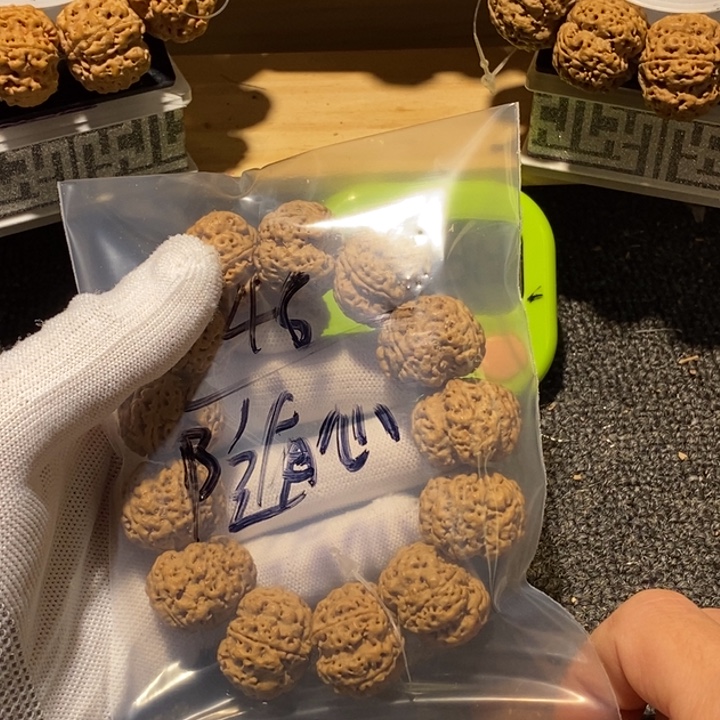 ＊***＆吊坠金刚菩提不说咯么这就是为什么我们