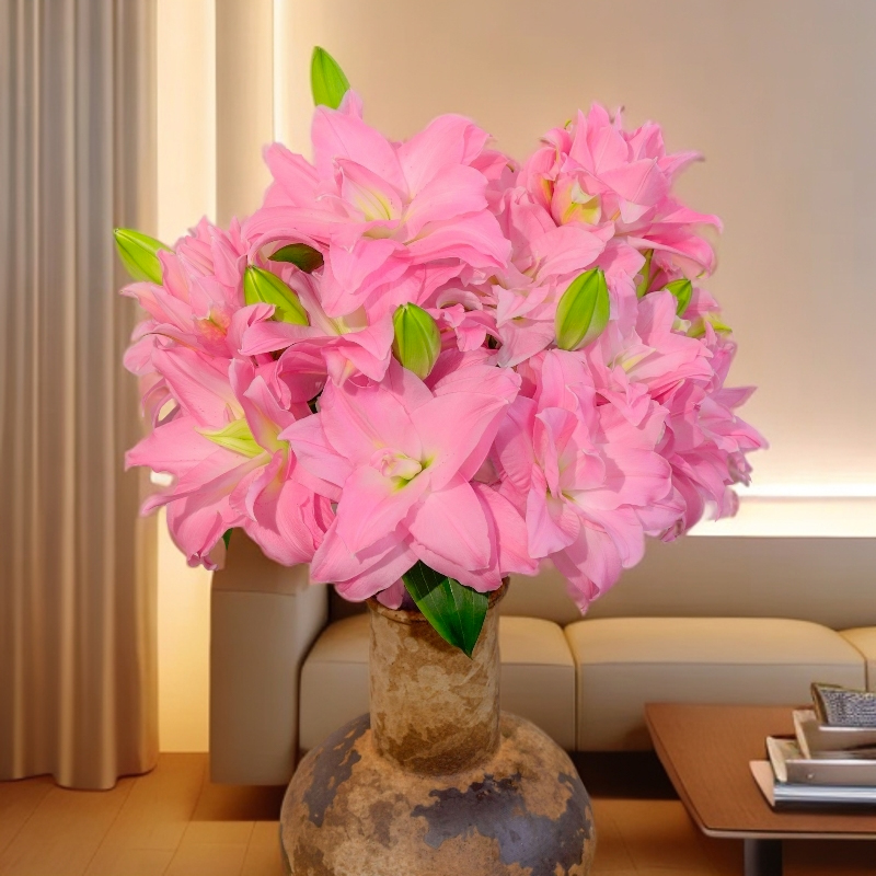 云南木木花卉 贵妃 果香甜香百合花 独特清香鲜花家居水养插花