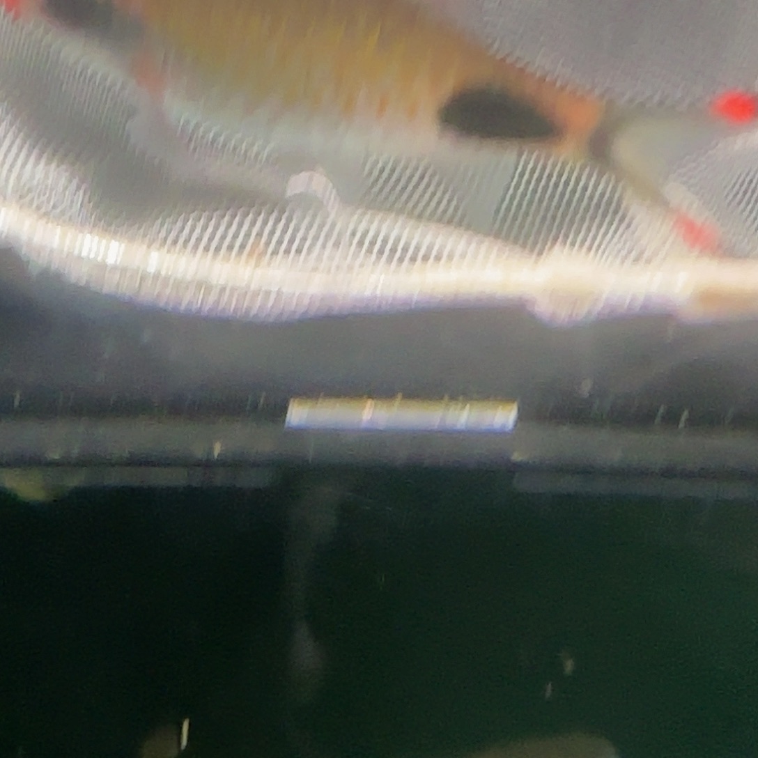 吉罗鱼红线黑影道人双红线7.5-8