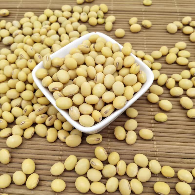农家老品种非转基因土黄豆打豆浆豆腐煲汤专用