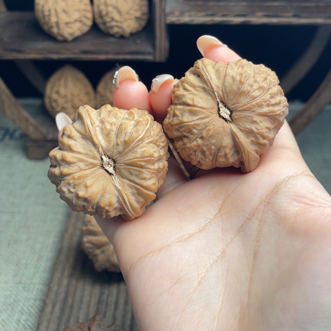 木质南瓜45 全品白茬精配毕业