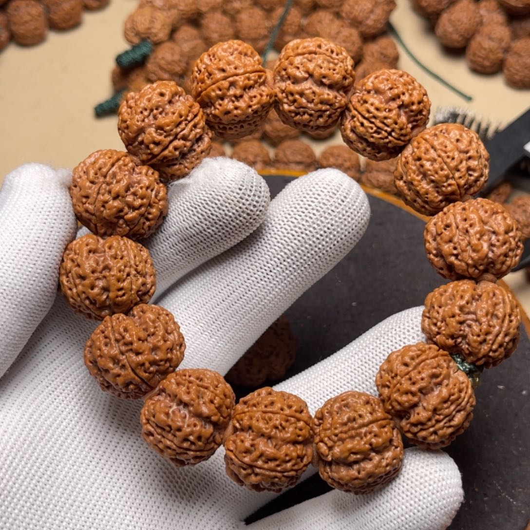 金刚菩提手串古龙爆肉凹底梅花双龙a级22.6左右