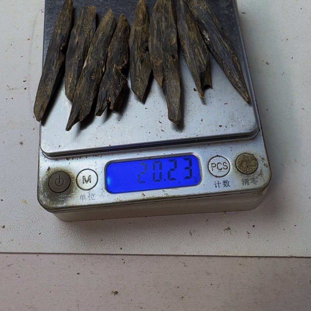 一***下沉香碎屑沉香绿棋树心油油叶子20克