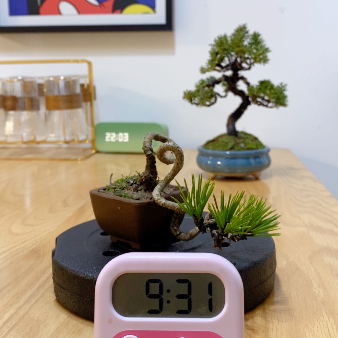 手工艺品琉璃林*家