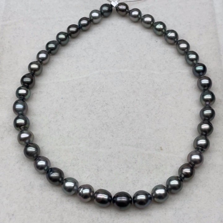 未镶嵌项链海水珍珠炫彩大溪地9-10.5