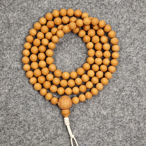 9.9-10.3 尼泊尔原生态凤眼菩提