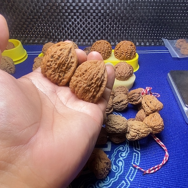1***7福利老树南疆石36尺