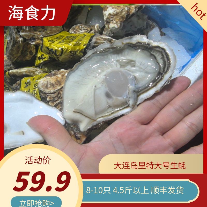 大连生蚝鲜活原产地直供 4.5斤以上（8-10只）保鲜不保活