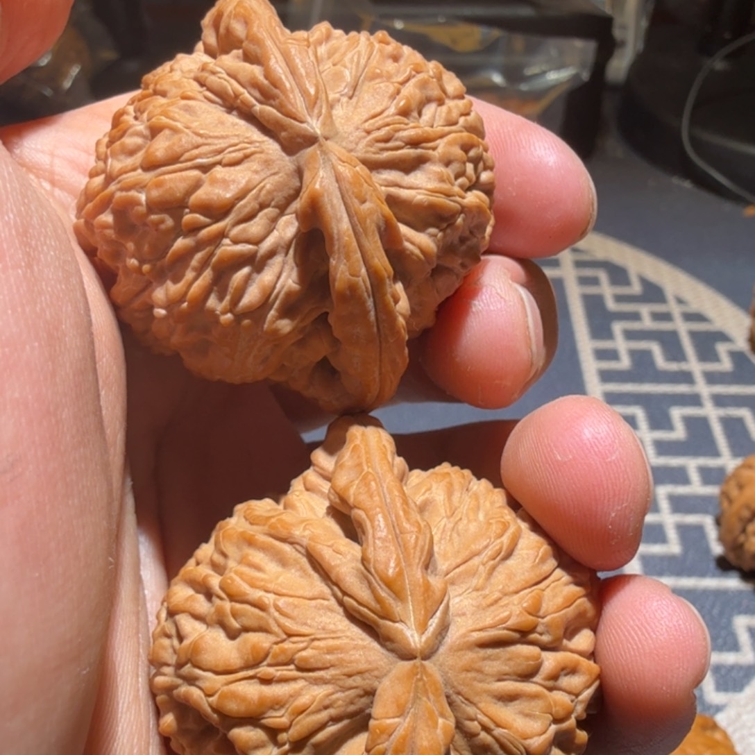 把件猴头核桃白狮子