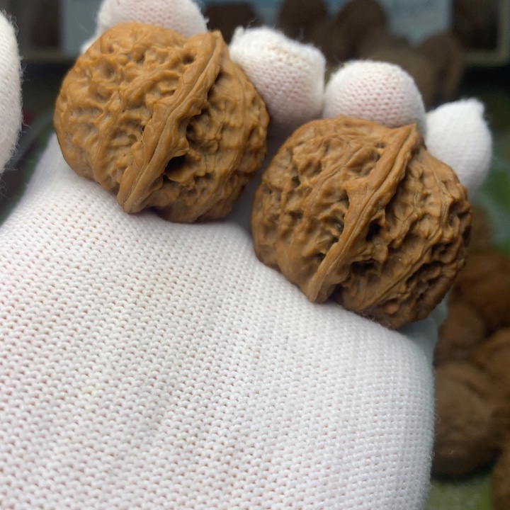 文玩核桃把件白狮子37