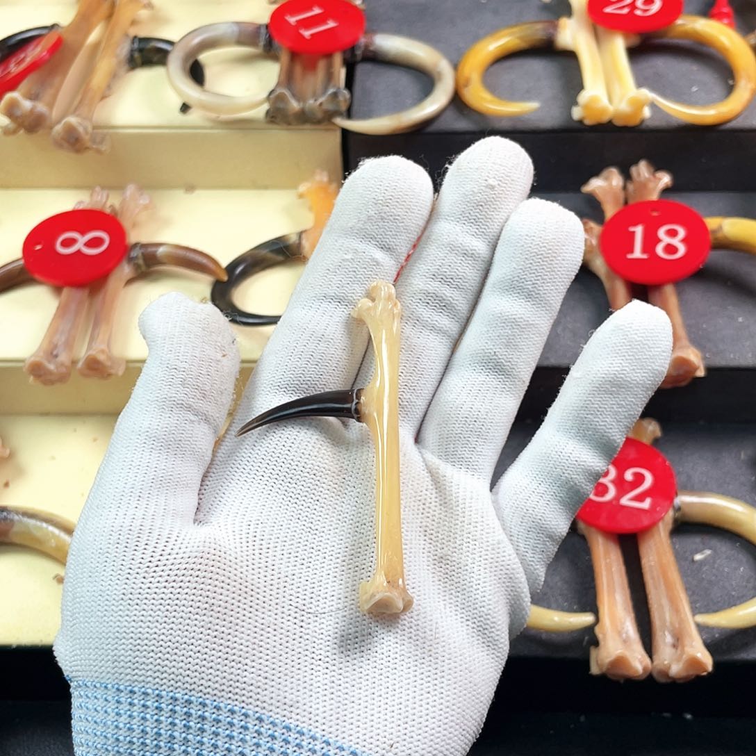 鸡骨（鸡脚）把件手把件