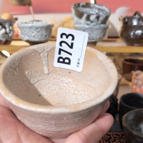 金*丽木有一点点的小姐姐