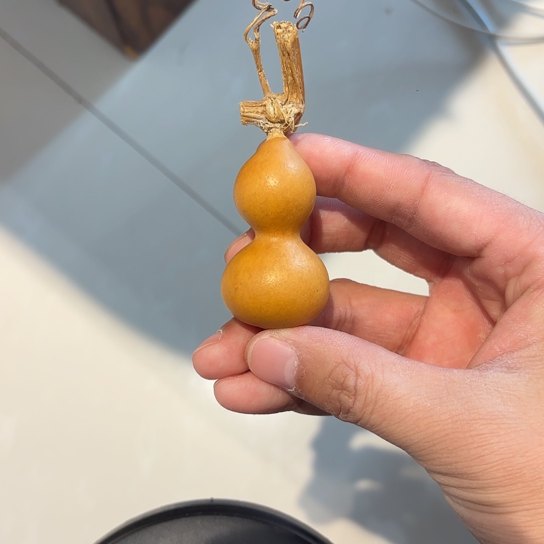 紫*葫芦11111111111111