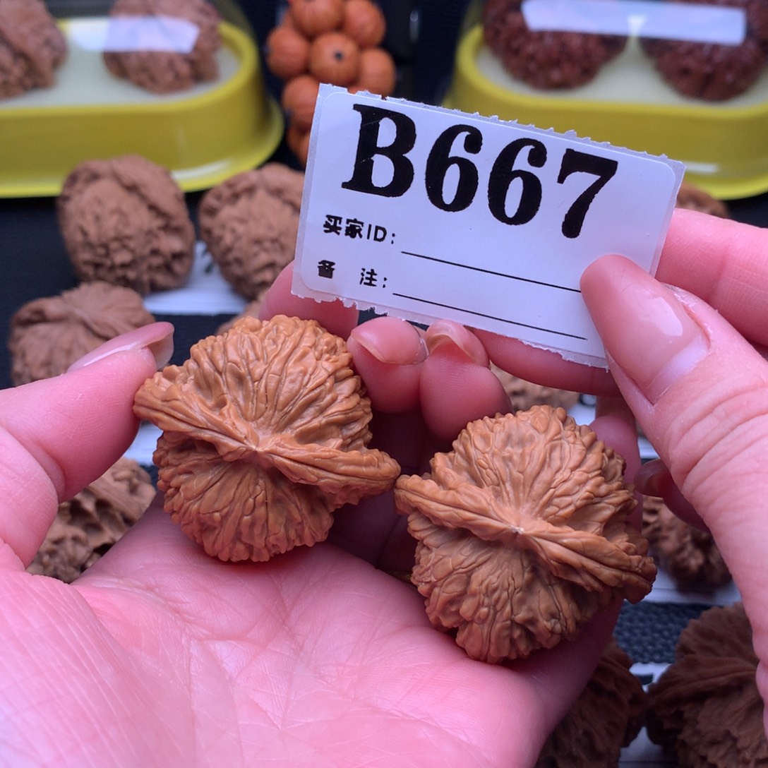 吊坠文玩核桃白狮667链接41尺全