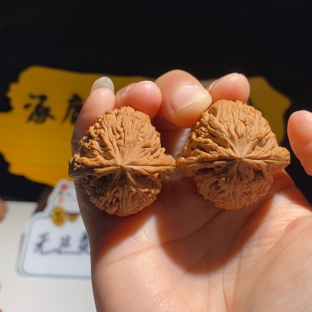 红***叶大叶紫檀（黑酸枝木类）