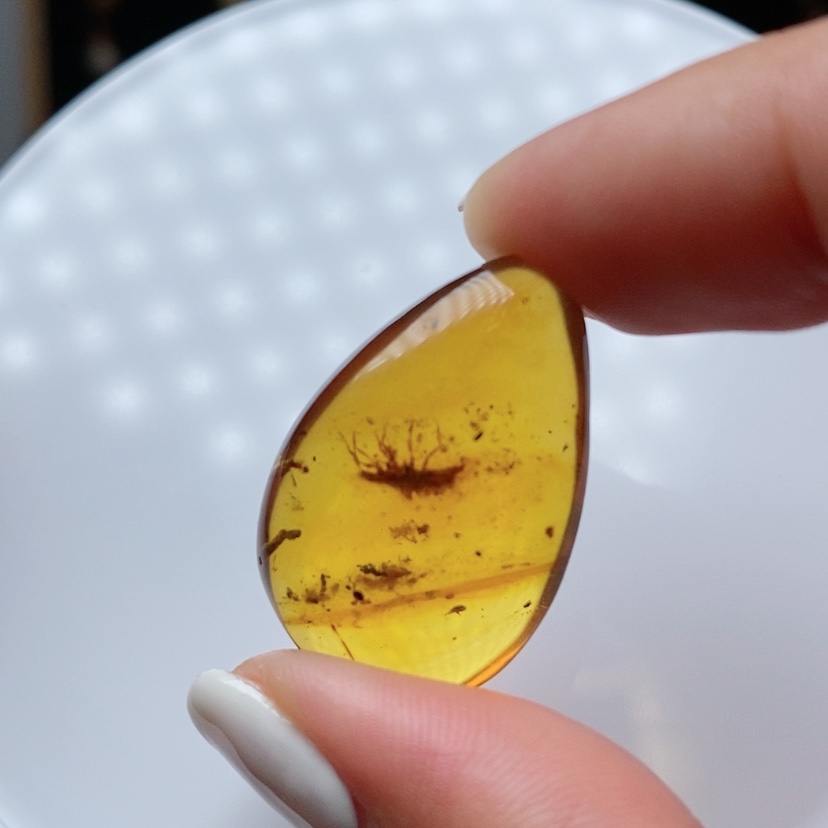【闪购商品】虫珀颈饰未镶嵌蝽