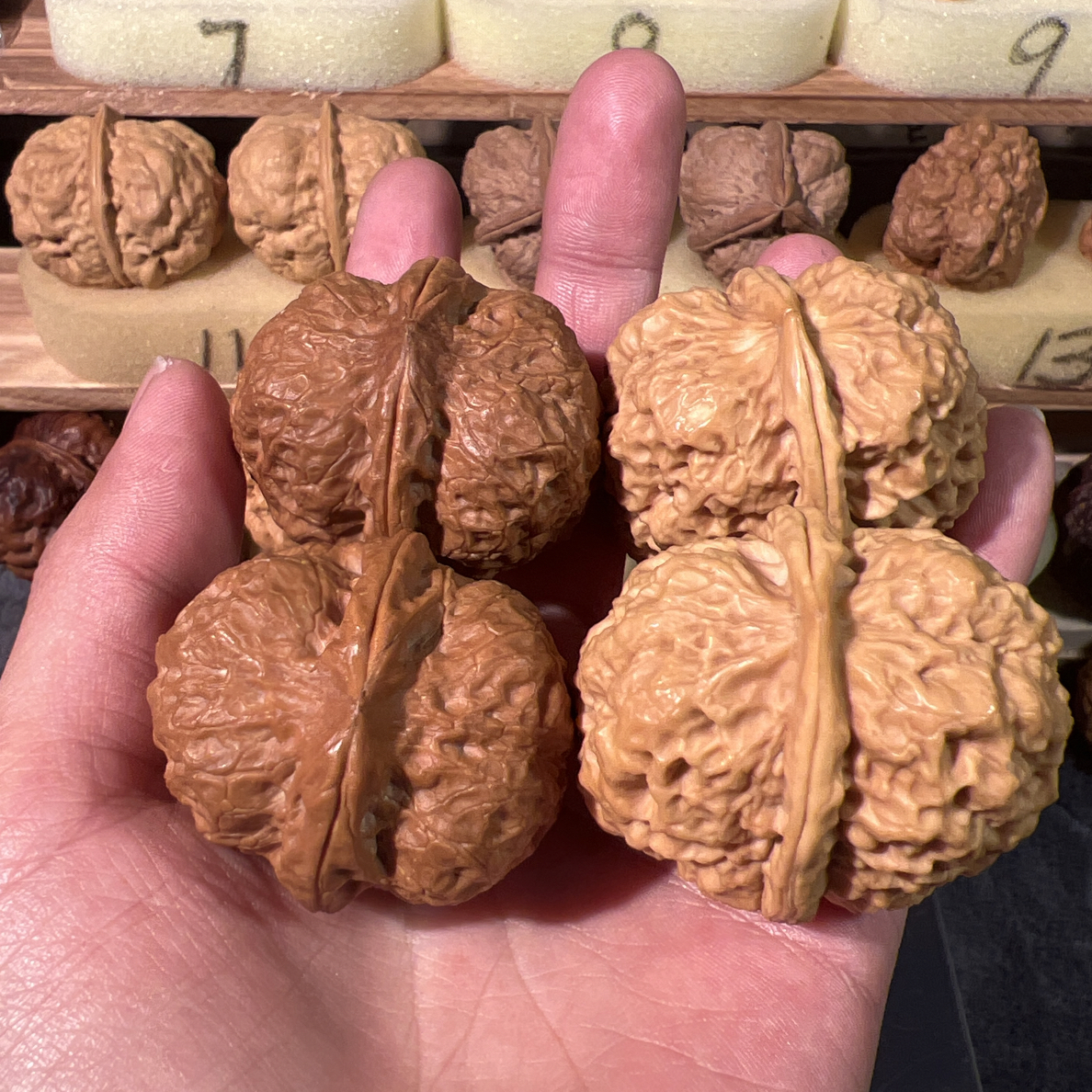 文玩铁核桃玉玲珑44和深水炸弹48+