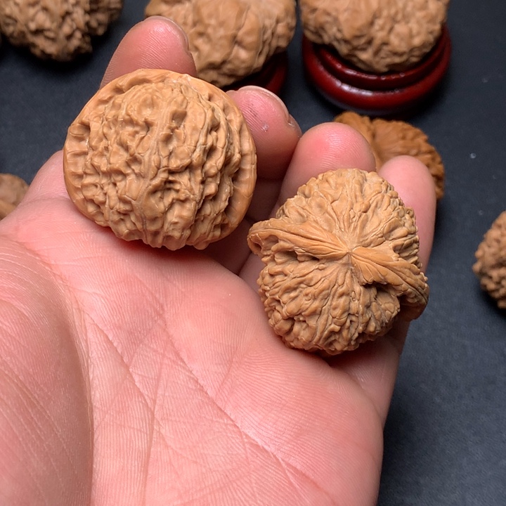 把件文玩核桃36白狮子1179