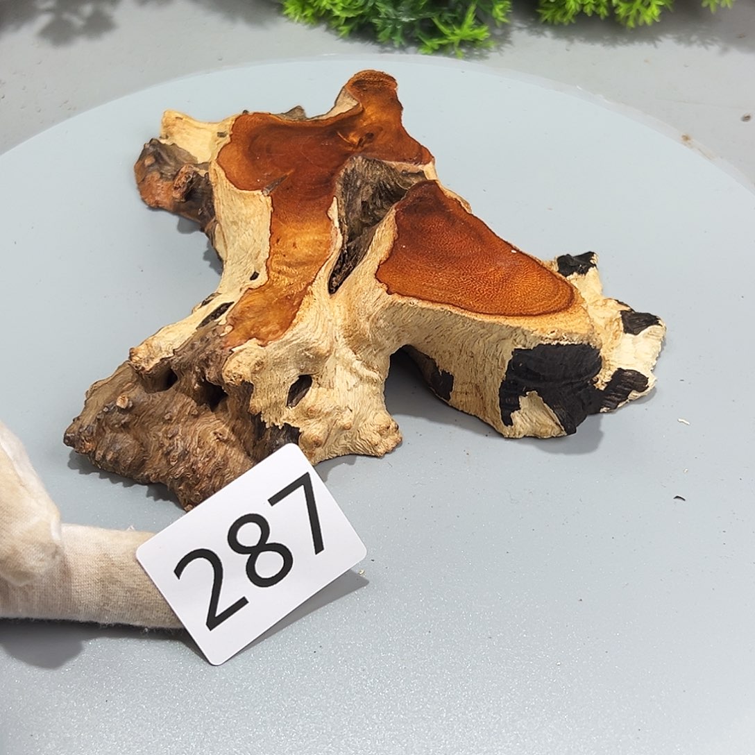 梨木明*火琉璃……火琉璃