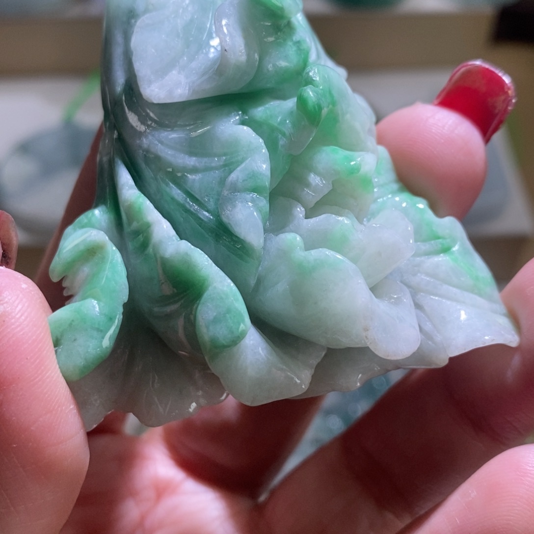 【闪购商品】翡翠颈饰未镶嵌菜