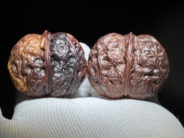 纯天然地闷【无极元宝】尺寸44左右  