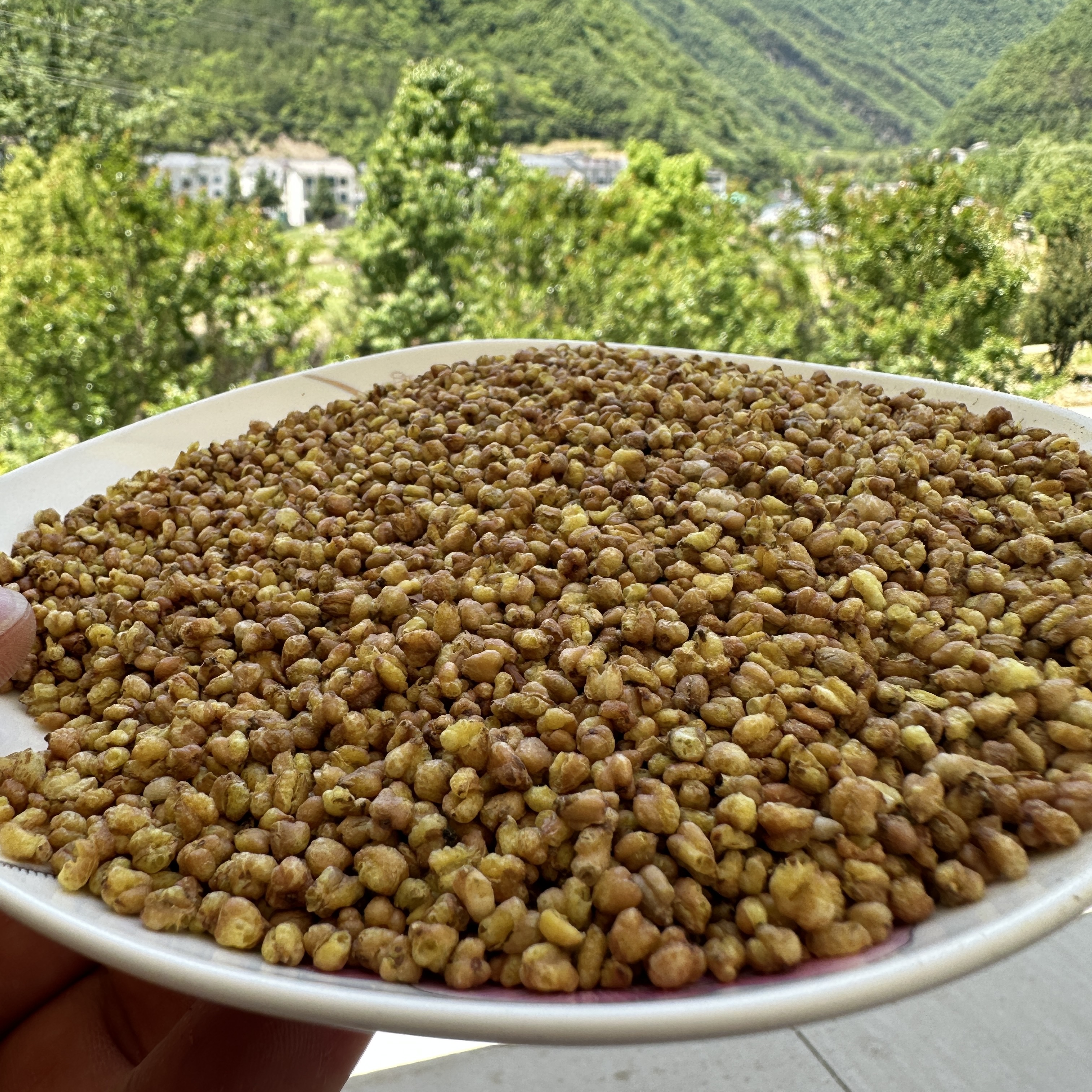 神农架高山苦荞茶【阿凯代卖】