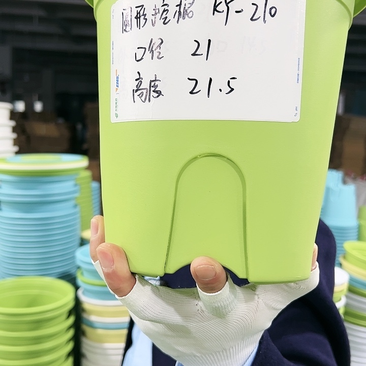 正品圆控口21高21果绿8只无托