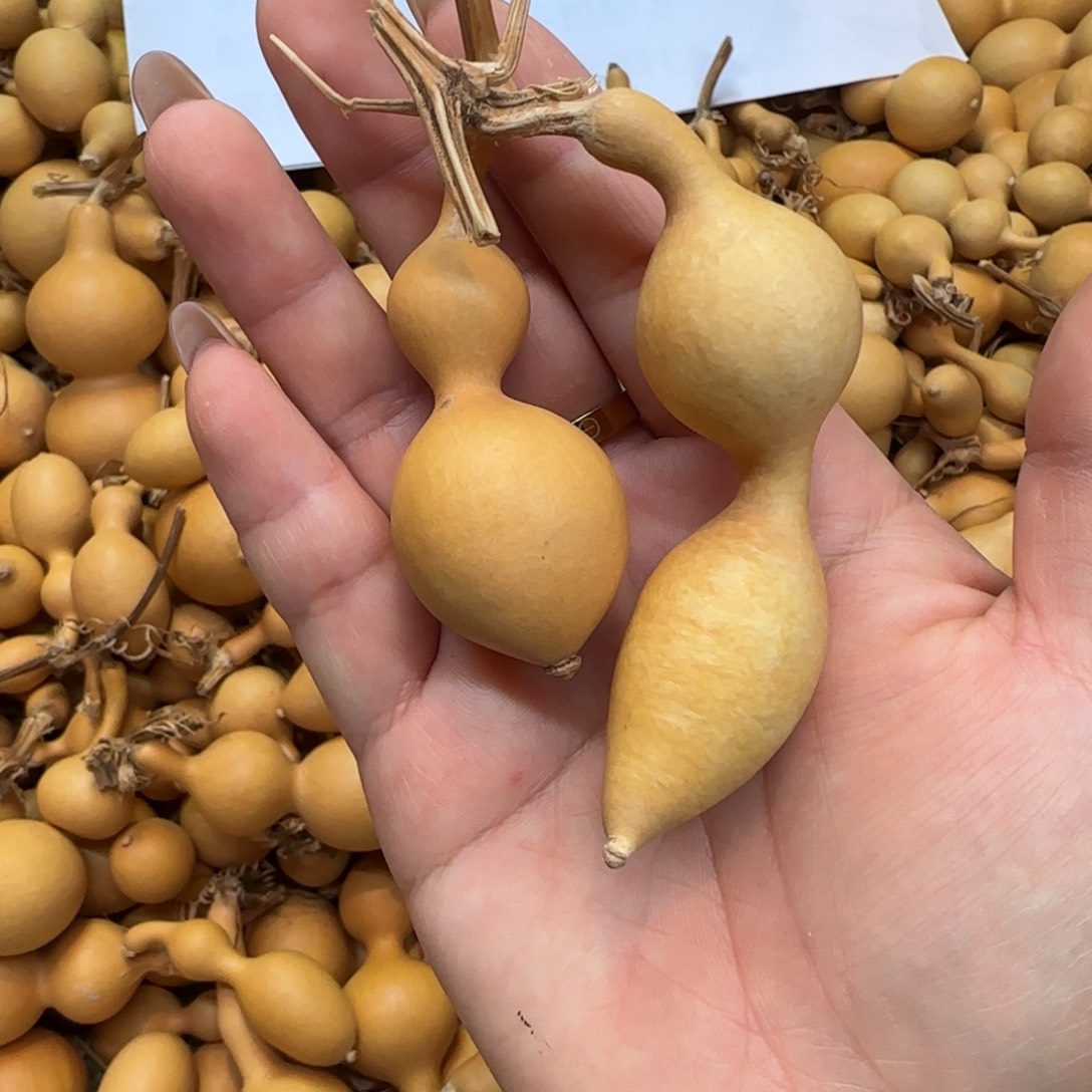 张****葫芦无售后默认微瑕