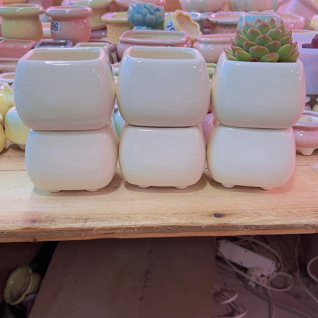 陶瓷花盆当场凑满12包邮