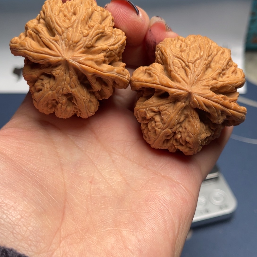 文玩核桃把件粗筋45