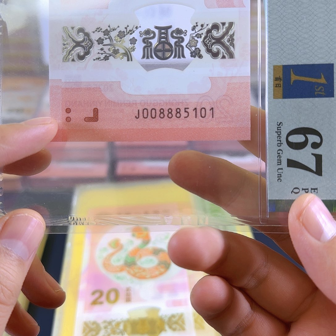 塑料蛇钞008885101金福王单张