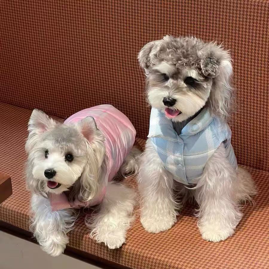 宠物棉服冬季猫狗棉衣格纹保暖棉服外套可爱加厚过冬比熊