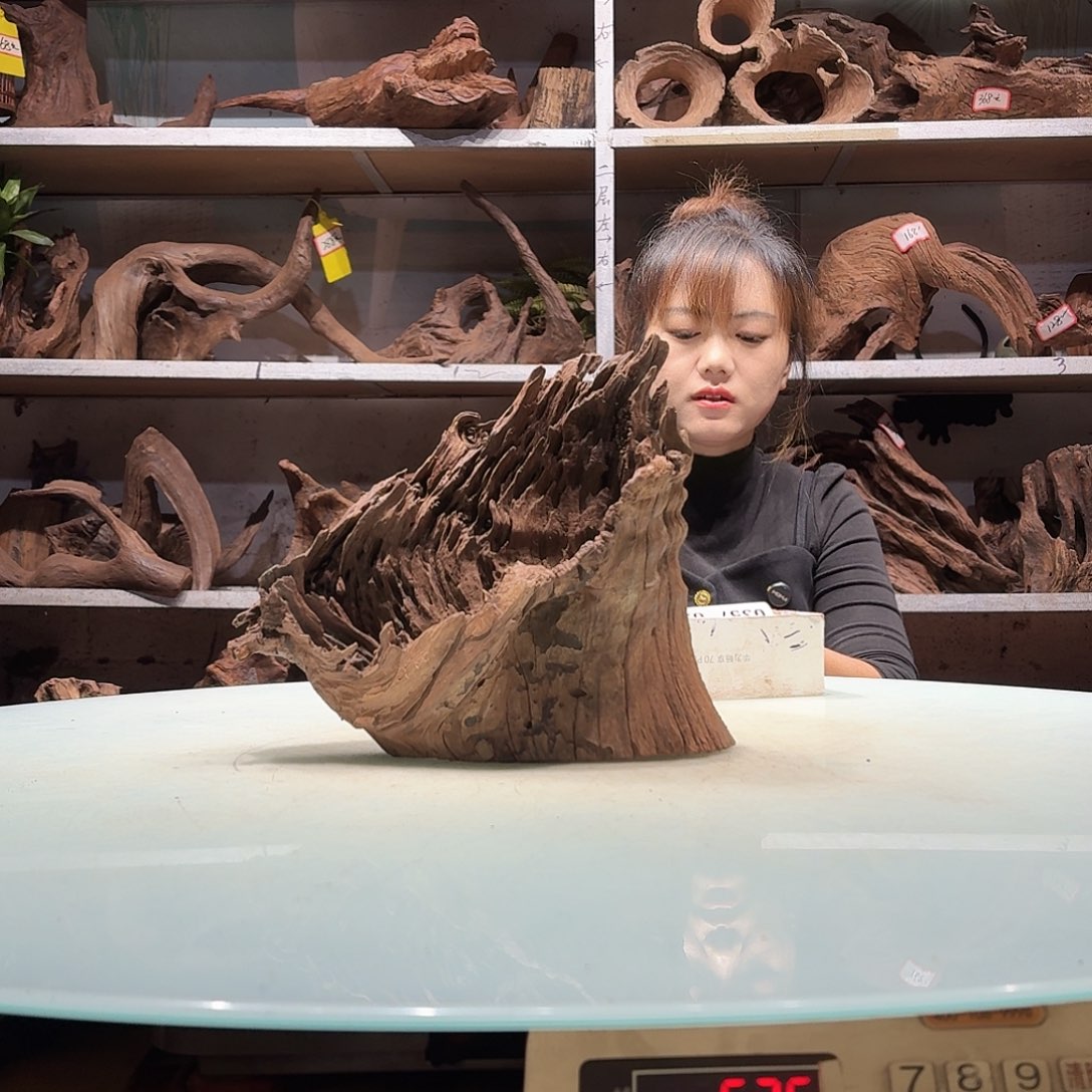 倍诸沉木不包损，必黄水张*静0350