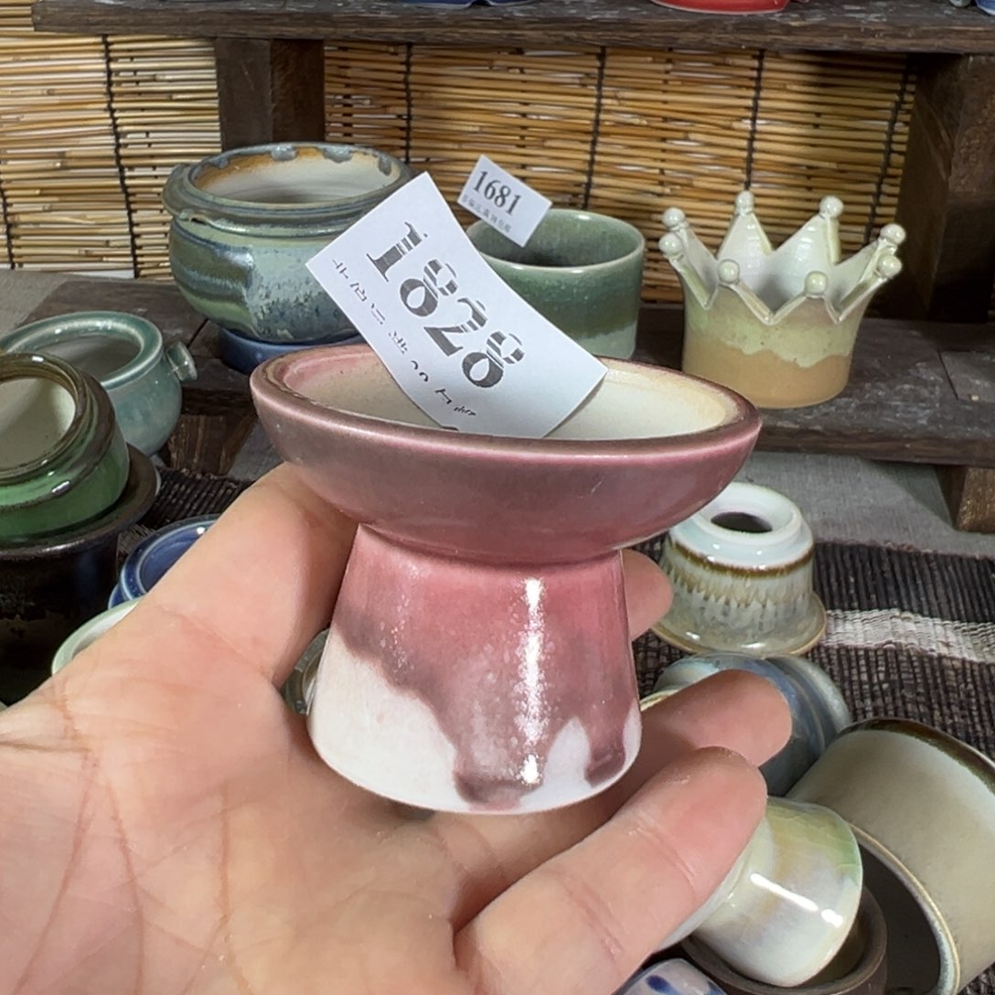 红陶景德镇陶瓷……