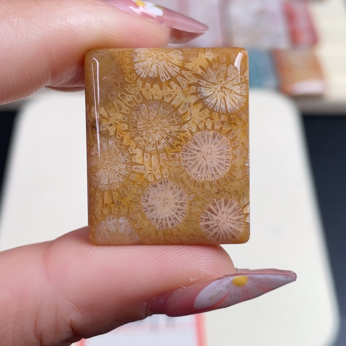 【闪购商品】未镶嵌吊坠(赠链)硅化玉