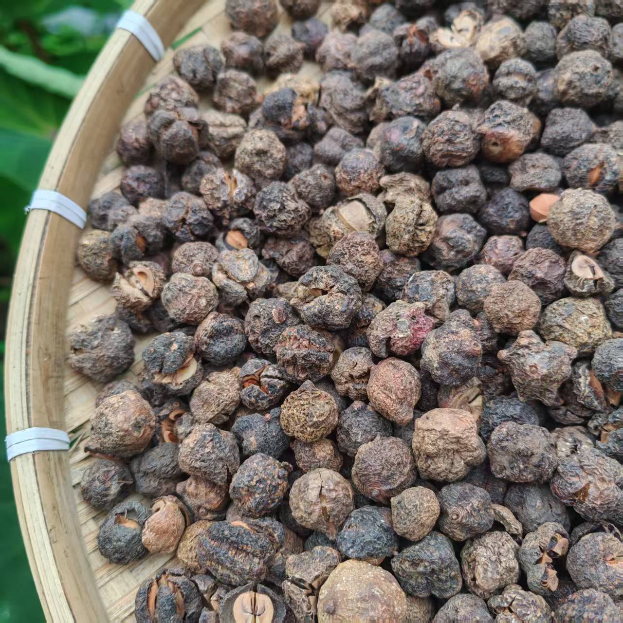 A【沉-香-果】净含量100g-500g【阿虎现收】粮