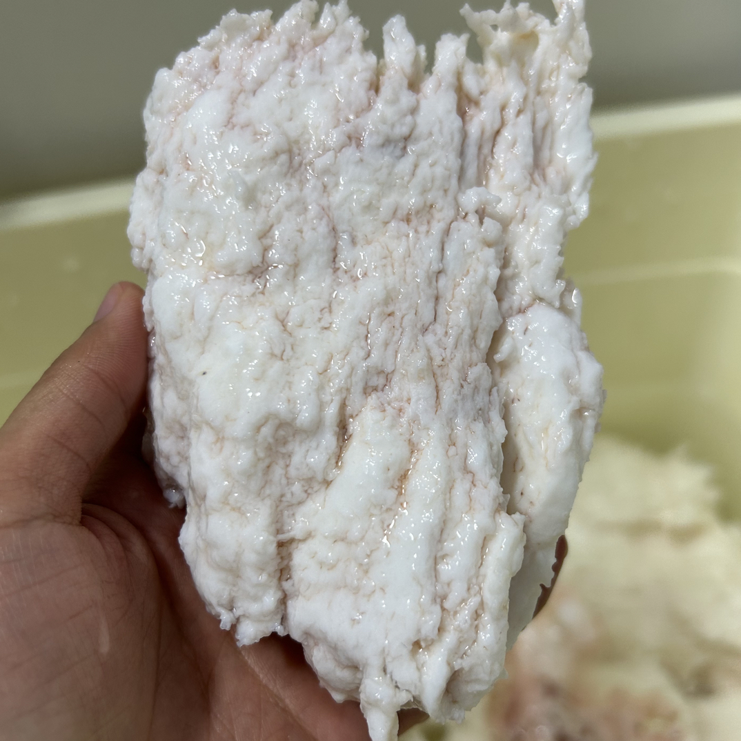 长白山纯天然石太岁1摆件（一物一拍）