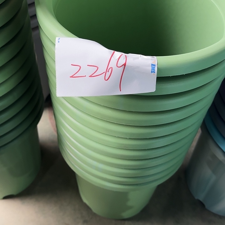 编号2269口33无托6个