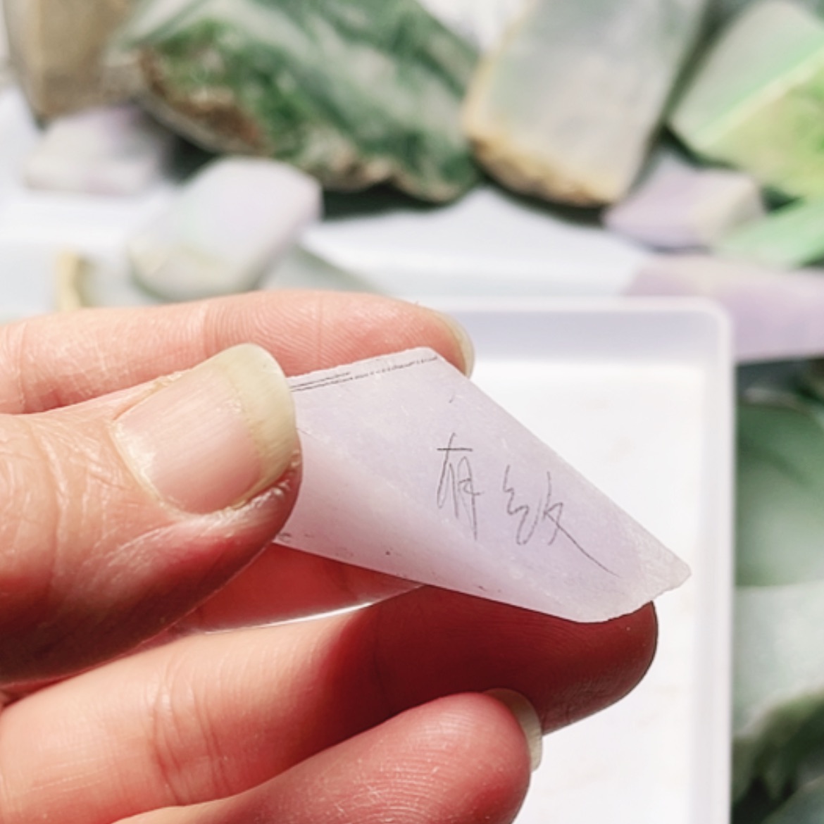 【闪购商品】翡翠颈饰未镶嵌A货