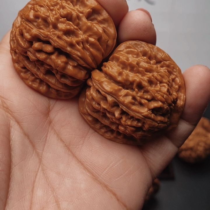 核桃四座楼40尺核桃