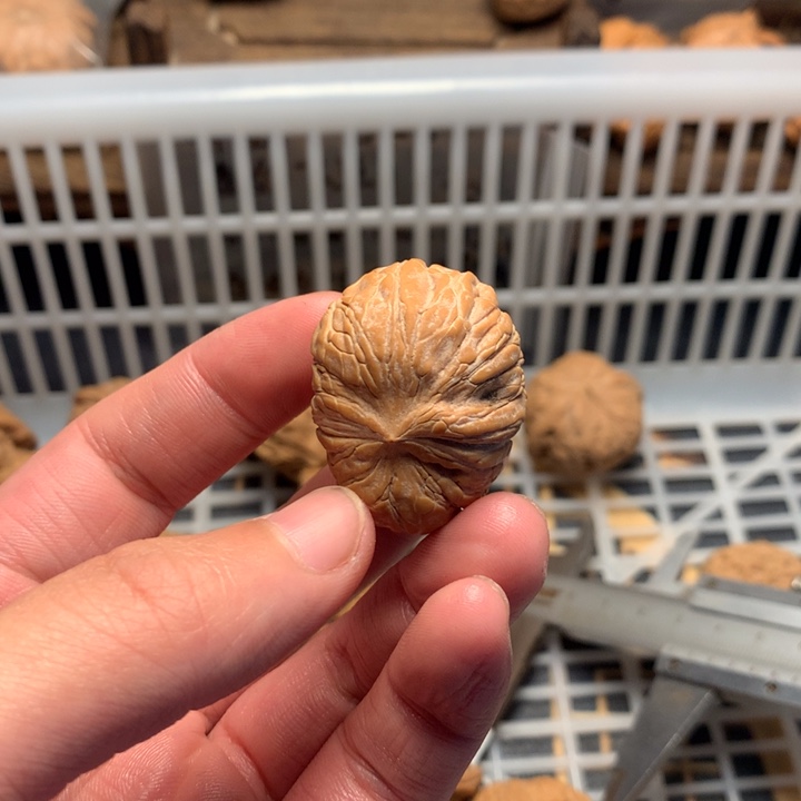 I***U把件文玩核桃元宝