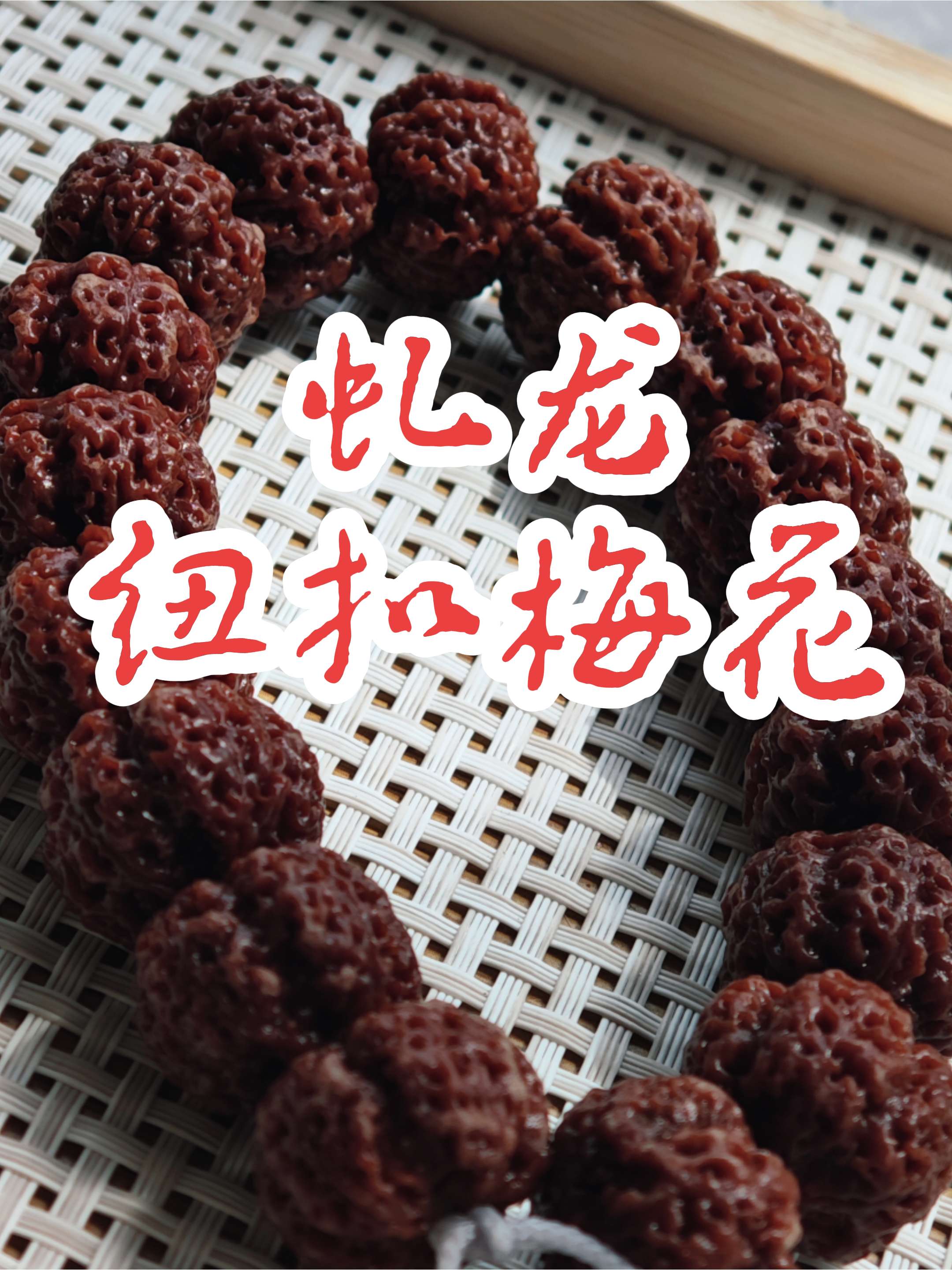 【虬龙天然纽扣梅花】金刚菩提天然矮桩纽扣梅花金刚菩提精品