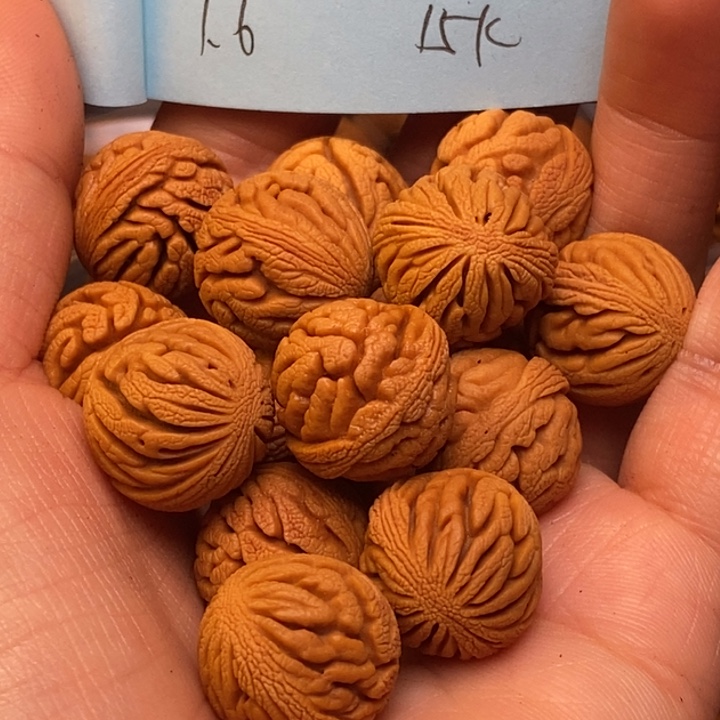 吊坠桃核秦岭龙纹桃核16尺寸