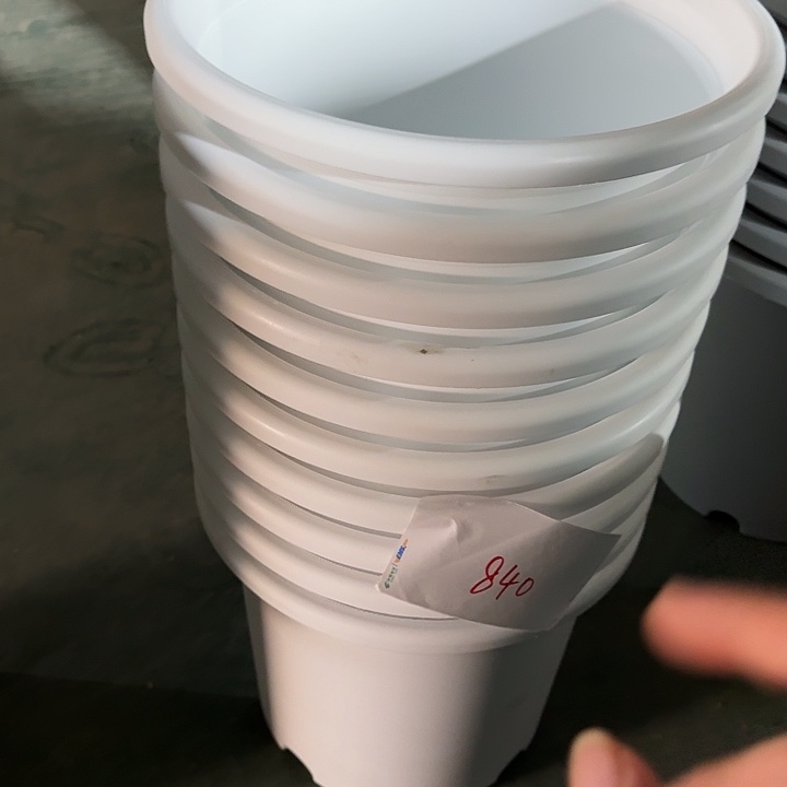 编号866瑕疵7个无托