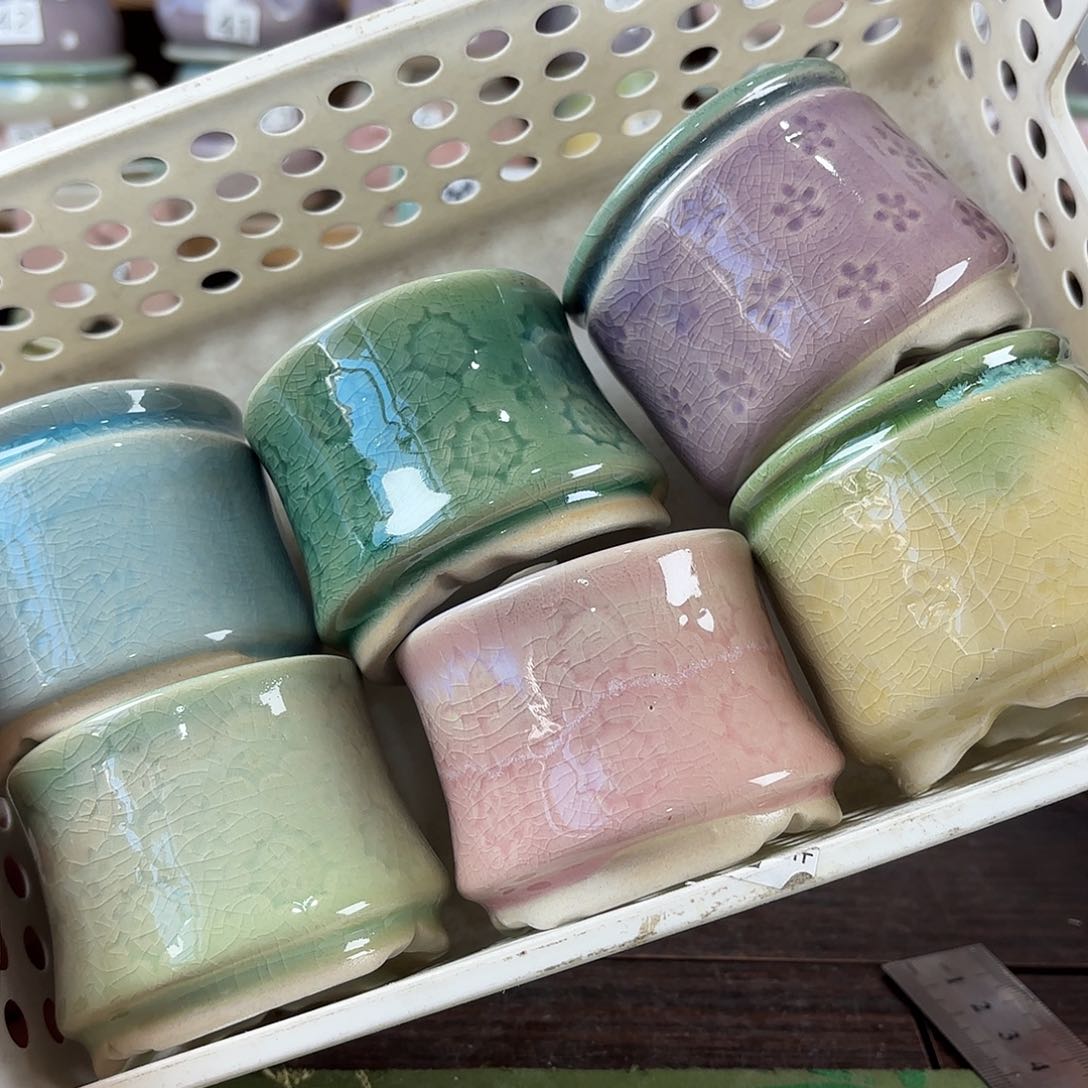 红陶量货/口5-6高深浅搭配发6个