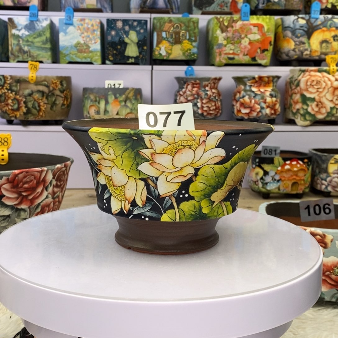 特价福利万象盆口18.5高11