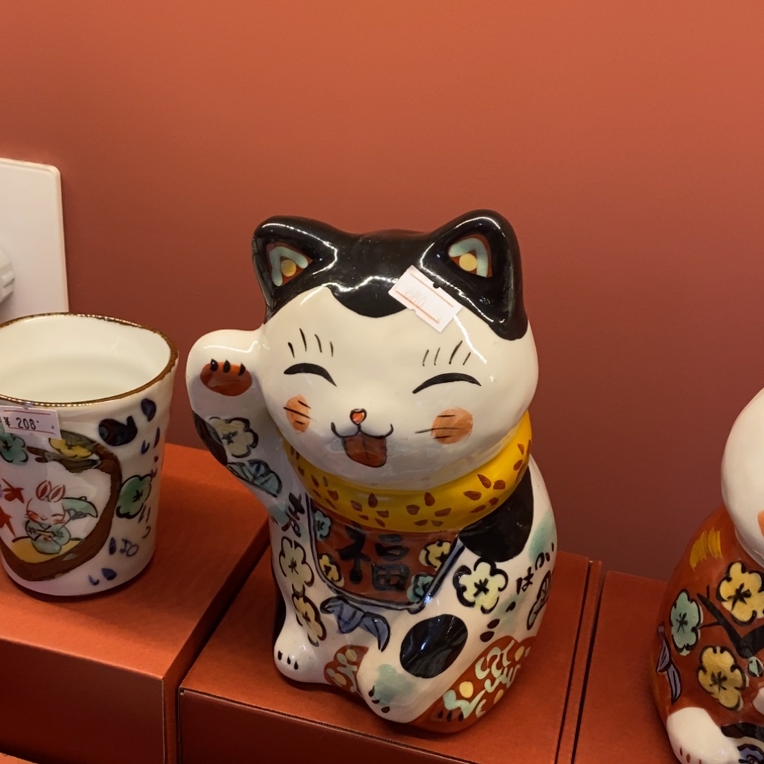 猫19 厘米，小杨甄选甄选