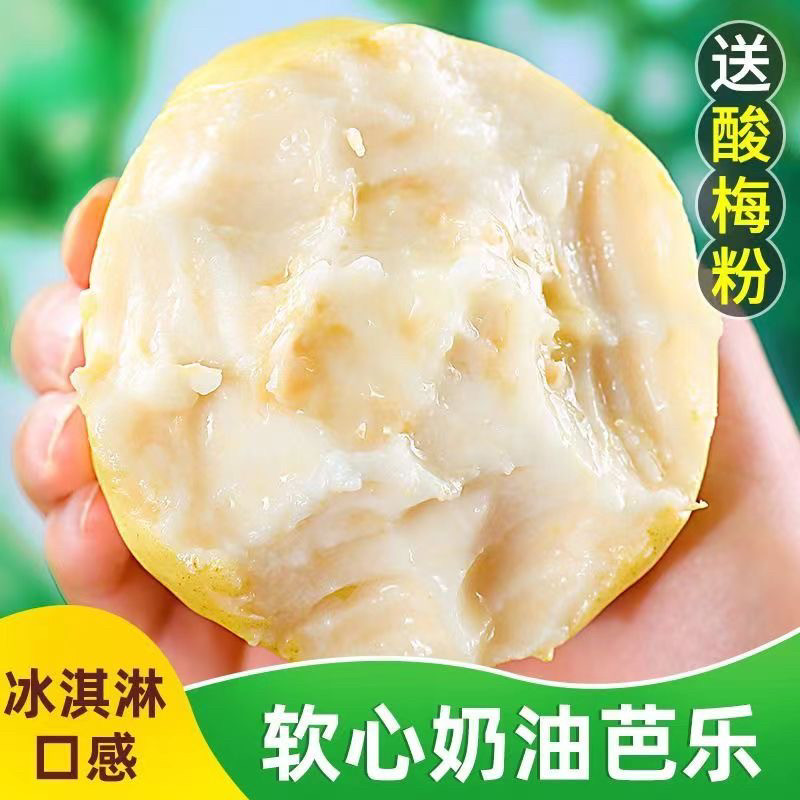 福建奶油芭乐白心芭乐新鲜番石榴当季水果珍珠芭乐低糖水果当季