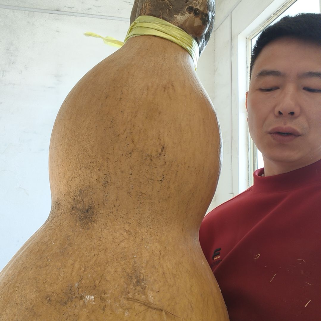 葫芦娃救爷爷一个一个的来
